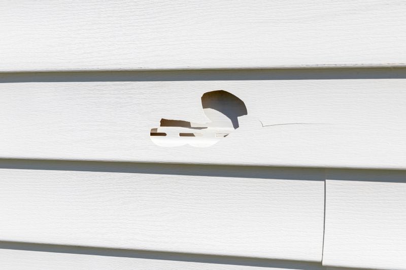 Siding Replacement